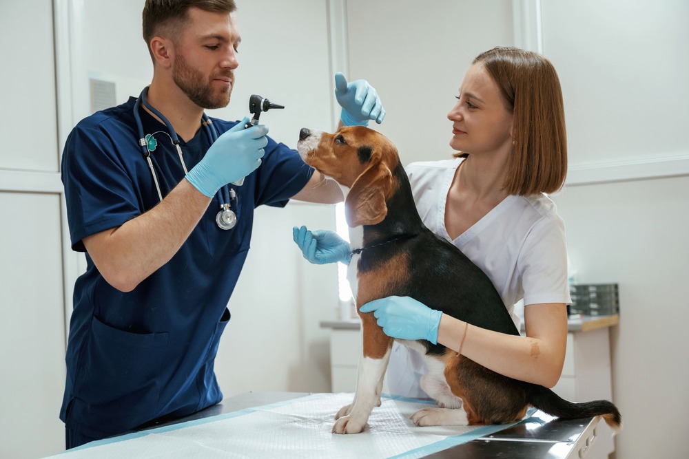 welke handschoenenn zijn geschikt voor een dierenarts